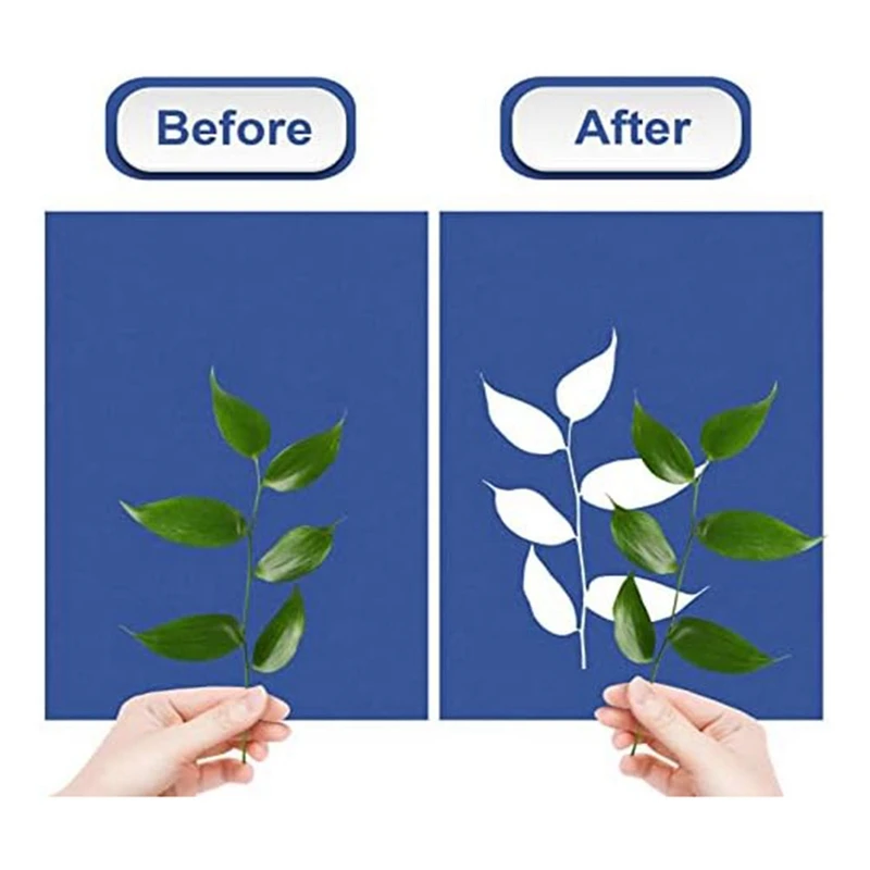 Kit de Papier Imprimé Soleil Cyanotype Papier A5 Papier de Dessin Solaire Sensibilité Papier Imprimé Nature pour Projets d'Artisanat DIY Kit de Papier Imprimé Soleil Cyanotype Papier A5 Papier de Dessin Solaire Sensibilité Papier Imprimé Nature pour Projets d'Artisanat DIY