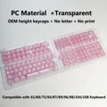 None Tran Pink