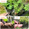 Weed Puller Tool 5.7in Uprooting Weeding Tool Gardening with 4 Teeth Multifunctional Hand Weed Remover Tool for Yard Farm Garden 2