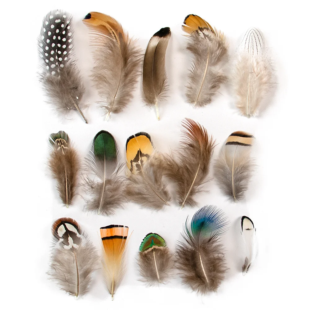 Natural Duck Pheasant Feather 100PCS Small Soft Feathers For Craft Jewelry Making Clothing Carnaval Assesoires Plumas Decoration