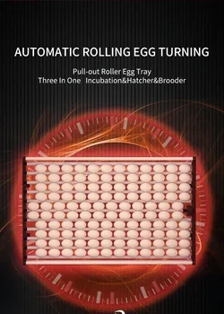 2000 Eggs Incubator FOR Solar Power Fully Automatic Chicken Egg Incubator 3