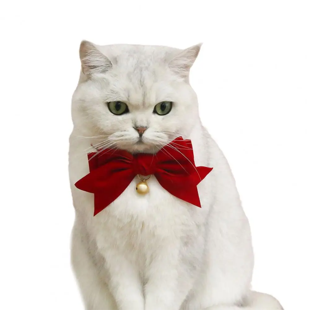 Title 18, Pet Collar Exquisite Comfortable Decorative Pet...
