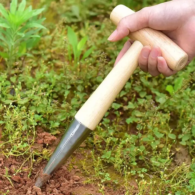 Lyuk Lyukasztó Rozsdamentes Acél Fa Tartós Termesztés Kültéri Vándorlás Koca Dibber Fogantyú Növényi Gyakorlati Kerti Szerszámok - Image 4