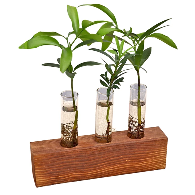 3 Test Tube