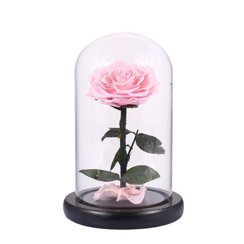 

Glass Cover Fresh Preserved Rose Flower Barbed Rose Flores For Wedding Marriage Home Party Decoration Valentine's Day Gift