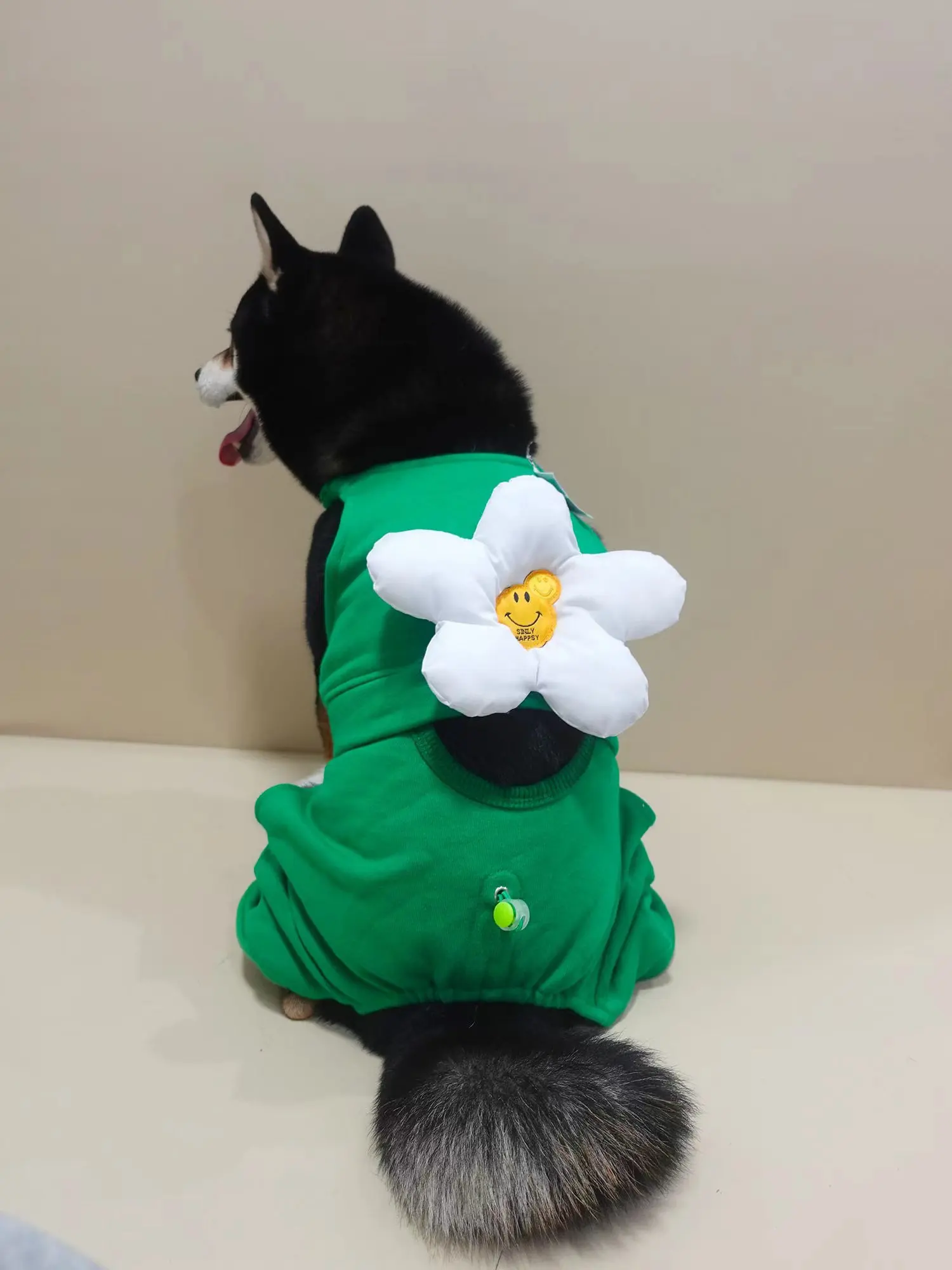 Four-legged Fleece Clothes for Pet - PeticaDeals