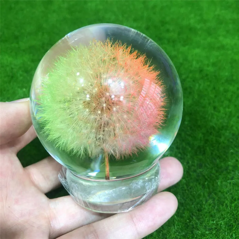 

Crystal Ball Shaped Transparent Resin Dandelion Paperweights For Home Decoration