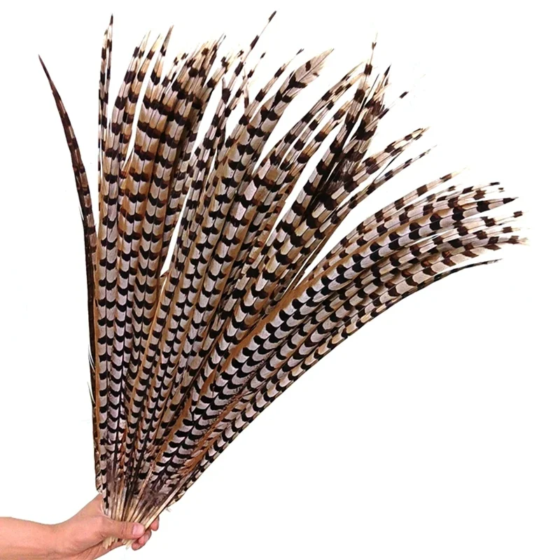 10 Pieces 16-18 Natural Reeves Venery Pheasant Feathers