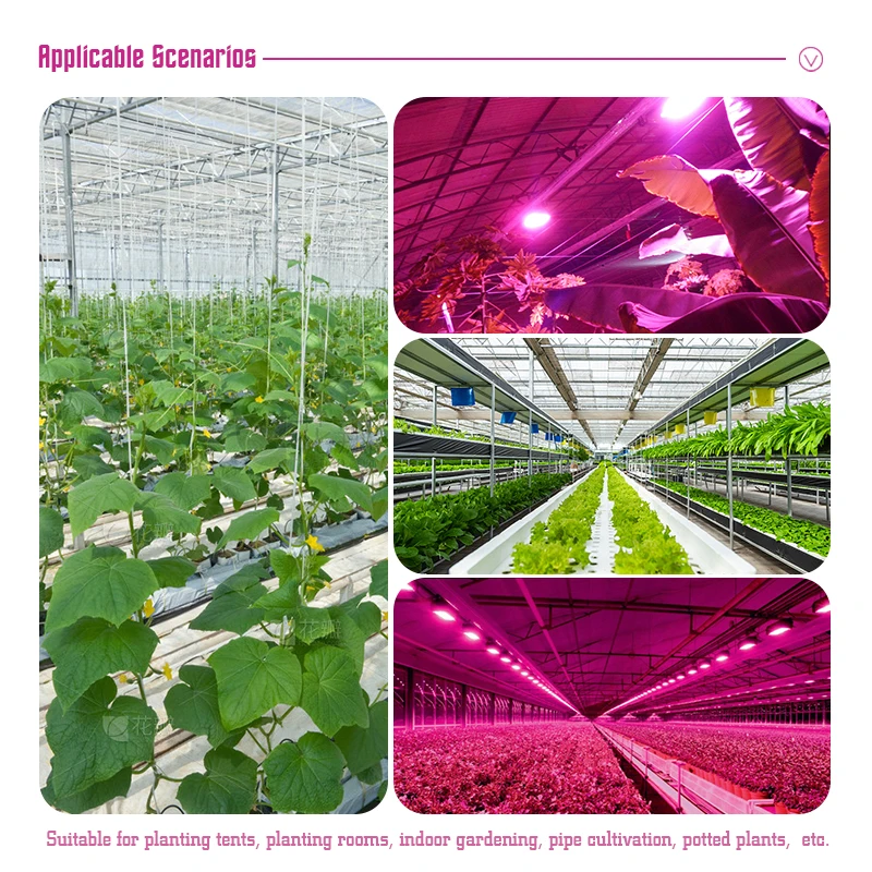LED Grow Light Full Spectrum Phyto Lamp for Plants 50W 100W AC 220V
