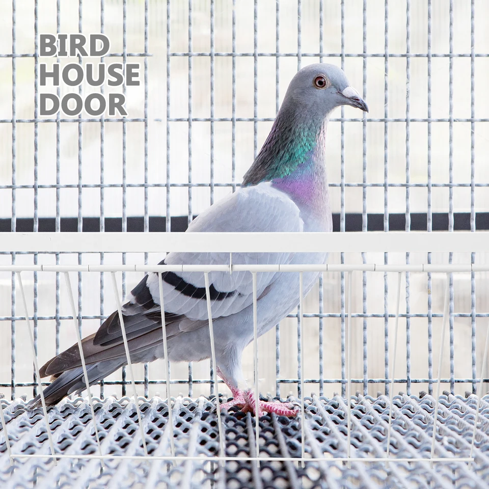 thumbnail image 2 of Bob Wire - Trap Door Rods For Pigeons & Ground Birds – Cage Life Care 2 of 14