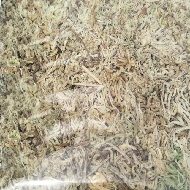 12 L Sphagnum Moha Mohát Hidratáló Táplálkozás Bio Műtrágya Védelme Orchidea Zamatos Növényi Gyökerek Diy Virág Edény Otthoni Kert - Image 5
