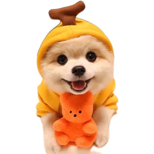 개 코스프레 겨울 따뜻한 강아지 애완 동물 의류, 귀여운 강아지 코트 후드, 불독 옷 치와와 4