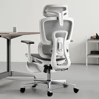 Ergonomic Office Chair with 3D Adjustable Armrests, Adjustable Lumbar Support High Back for Computer Chair, Big and Tall Mesh 1
