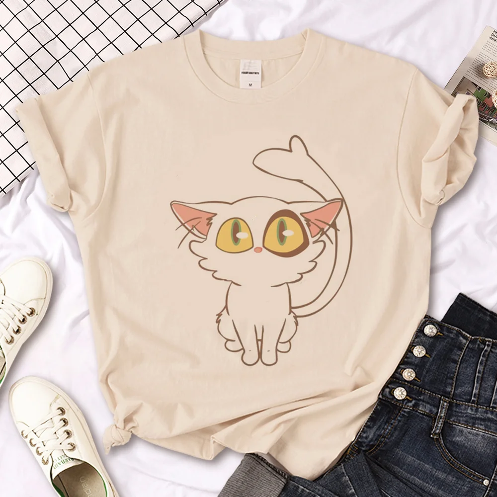 

Suzume no Tojimari Cat Daijin