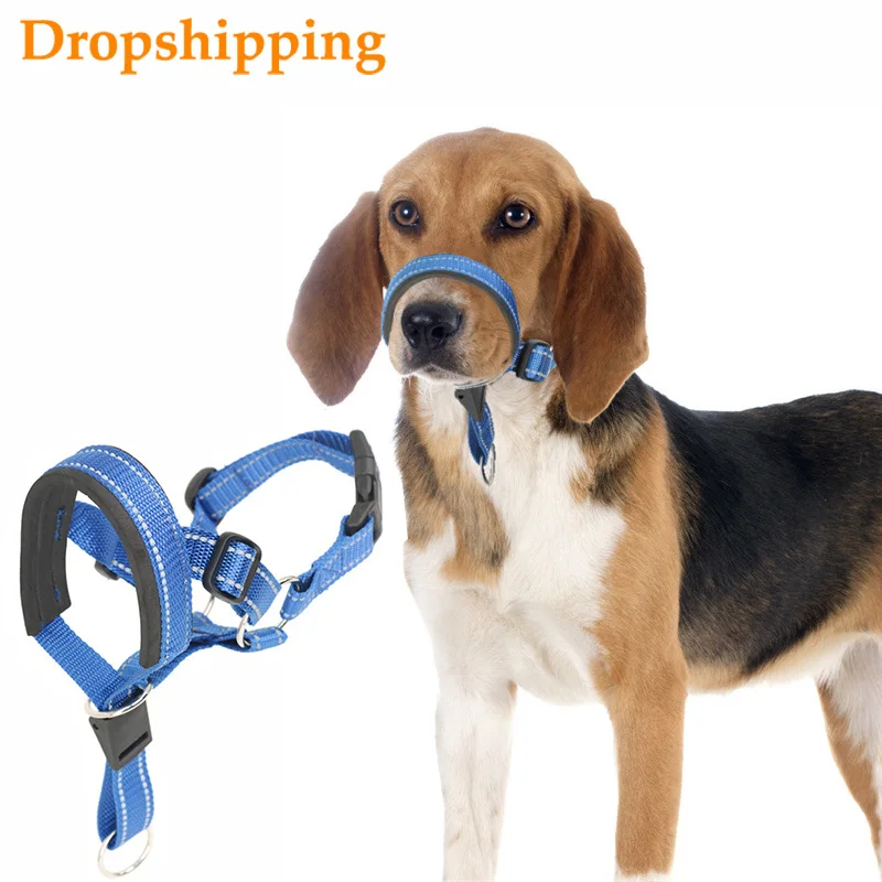 Dog Muzzle Dog Training Lead Rope Outdoor Training Rope Guide Control