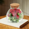 Round Glass Jar Cork Flower Plant Terrarium Micro-Landscape Ecological Bottle Crafts Container Landscape Bottle DIY Decorative 6