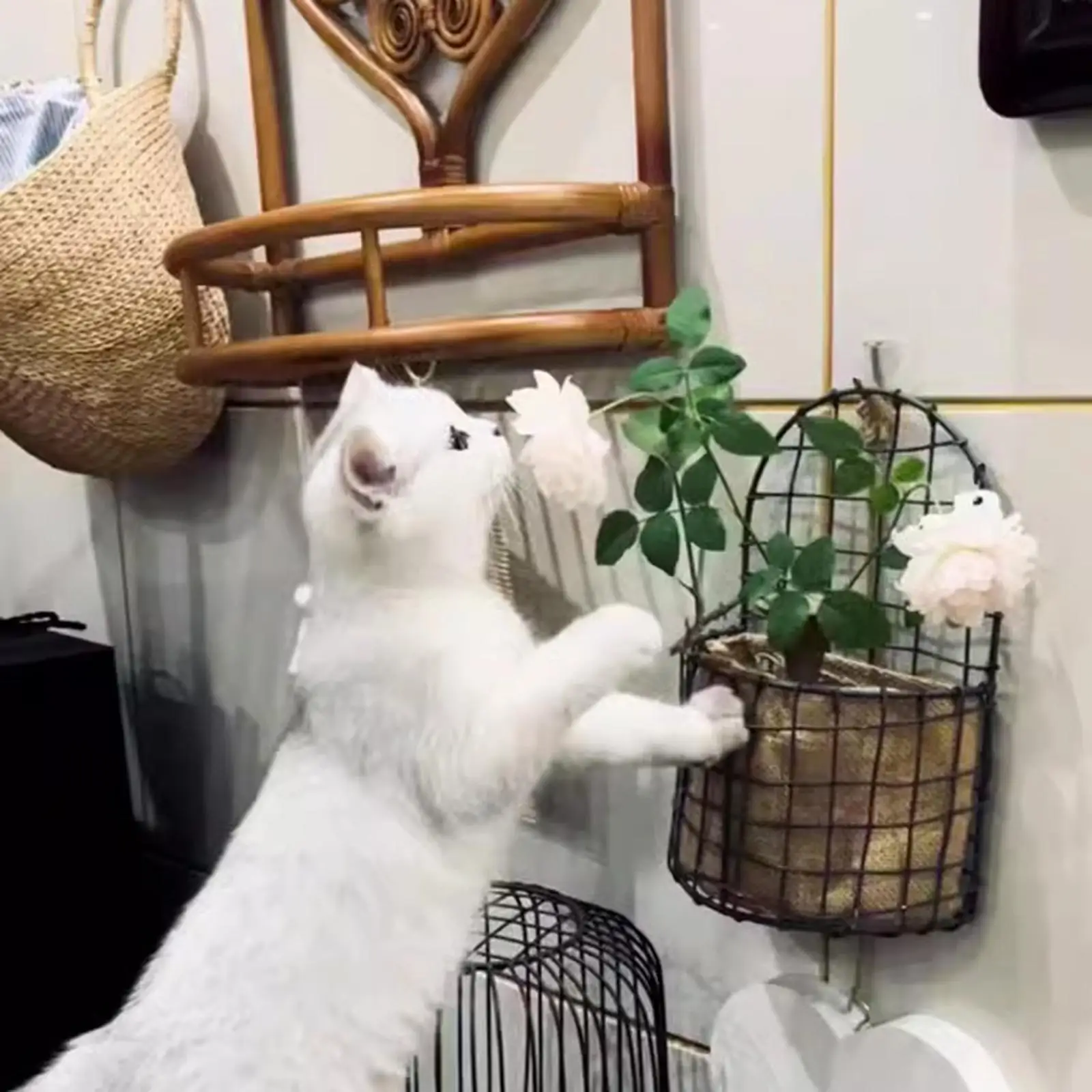 Wall Mounted Basket Hanging Planter Flower Pot Stand Iron Wire Mesh Basket for Garden Balcony Yard Backyard Retro Design Storage Wall Mounted Basket Hanging Planter Flower Pot Stand Iron Wire Mesh Basket for Garden Balcony Yard Backyard Retro Design Storage