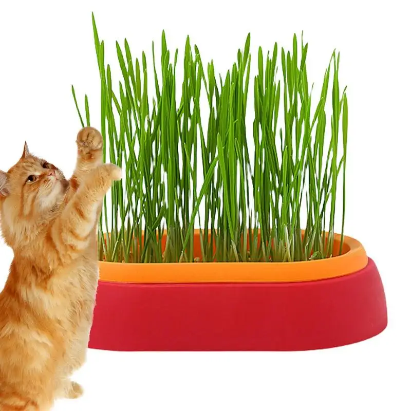 

Pet Cat Grass Planter Box Hydroponic Cat Grass Plant Growing Pot Soil-Free Cat Snacks Germination Nursery Pot Grow Box