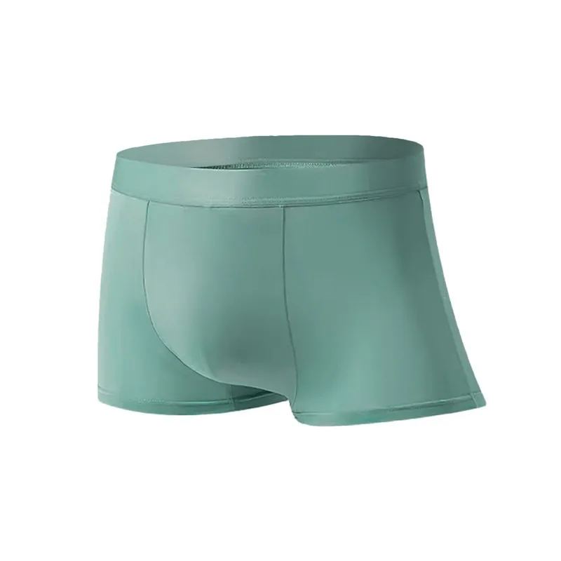 Seamless Men Boxers Luxury Silk Boxers Underwear Boxer Spandex 3D