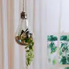 193B Light Bulb Shaped Gift Idea for Succulent Moss Tillandsias Air Plants Kitchen 5