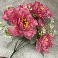 Image 17