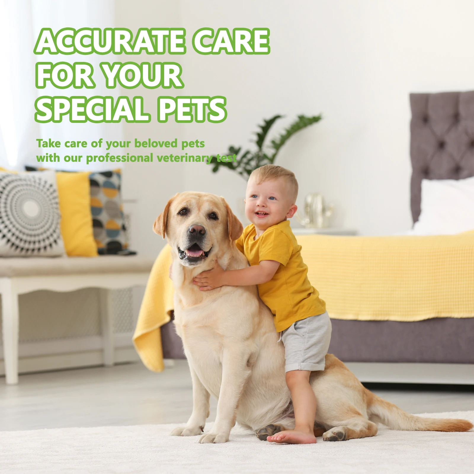 2/ 5/10 Pcs Canine CPV CDV CCV Rapid Precision Testing Kit Dog Home Healthy Test