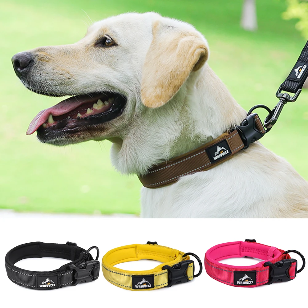 Collier robuste pour chiens de grandes et moyennes races - Nylon résistant aux morsures, boucle antidérapante sécurisée_voghion.com