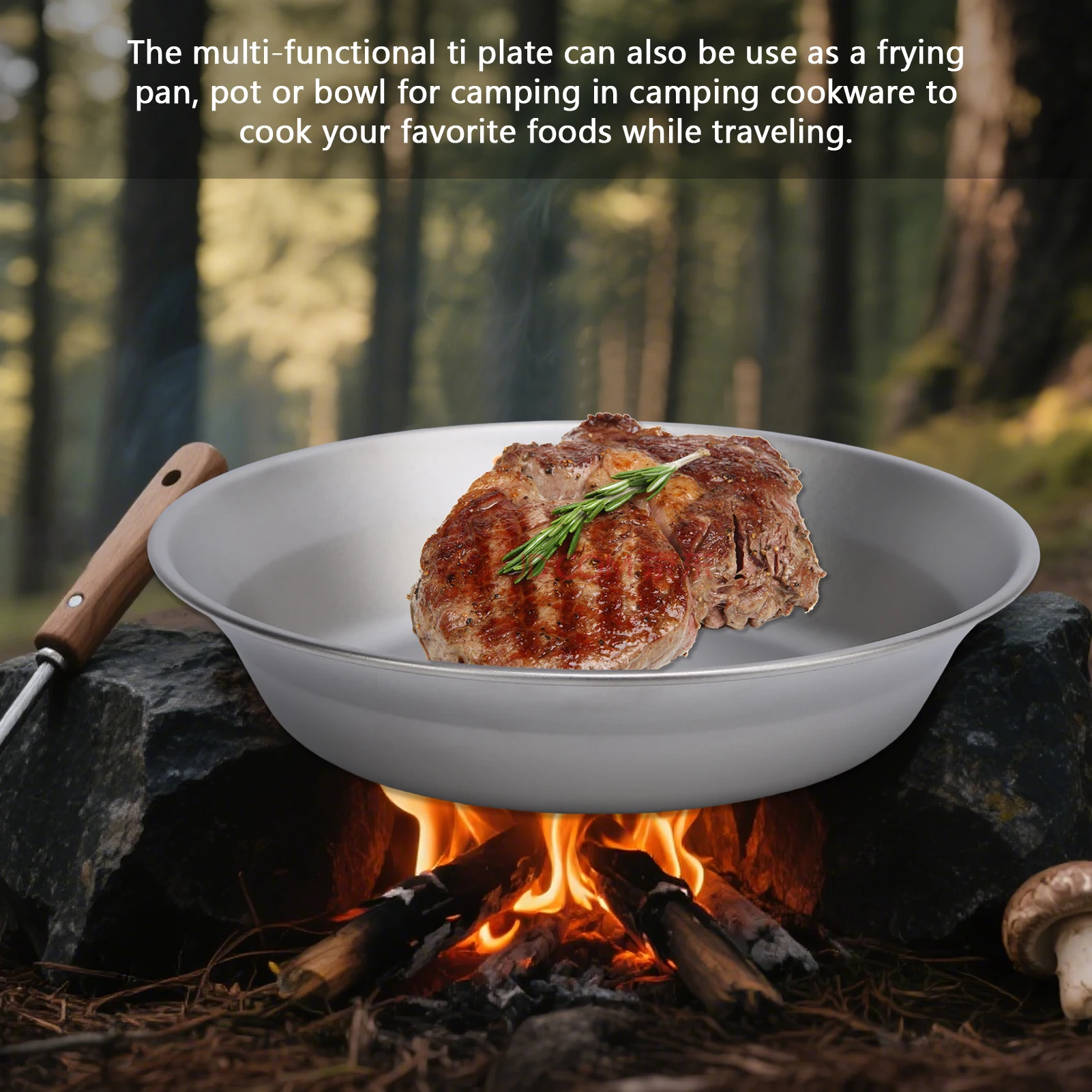 Ti Camping Plate 500ml and 300ml Ti Dish Cookware Outdoor Backpacking Plate for Outdoor Camping Hiking Ti Camping Plate