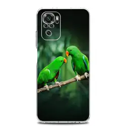 Parrot Bird Clear Soft TPU Phone Case for Redmi 13C (B7)