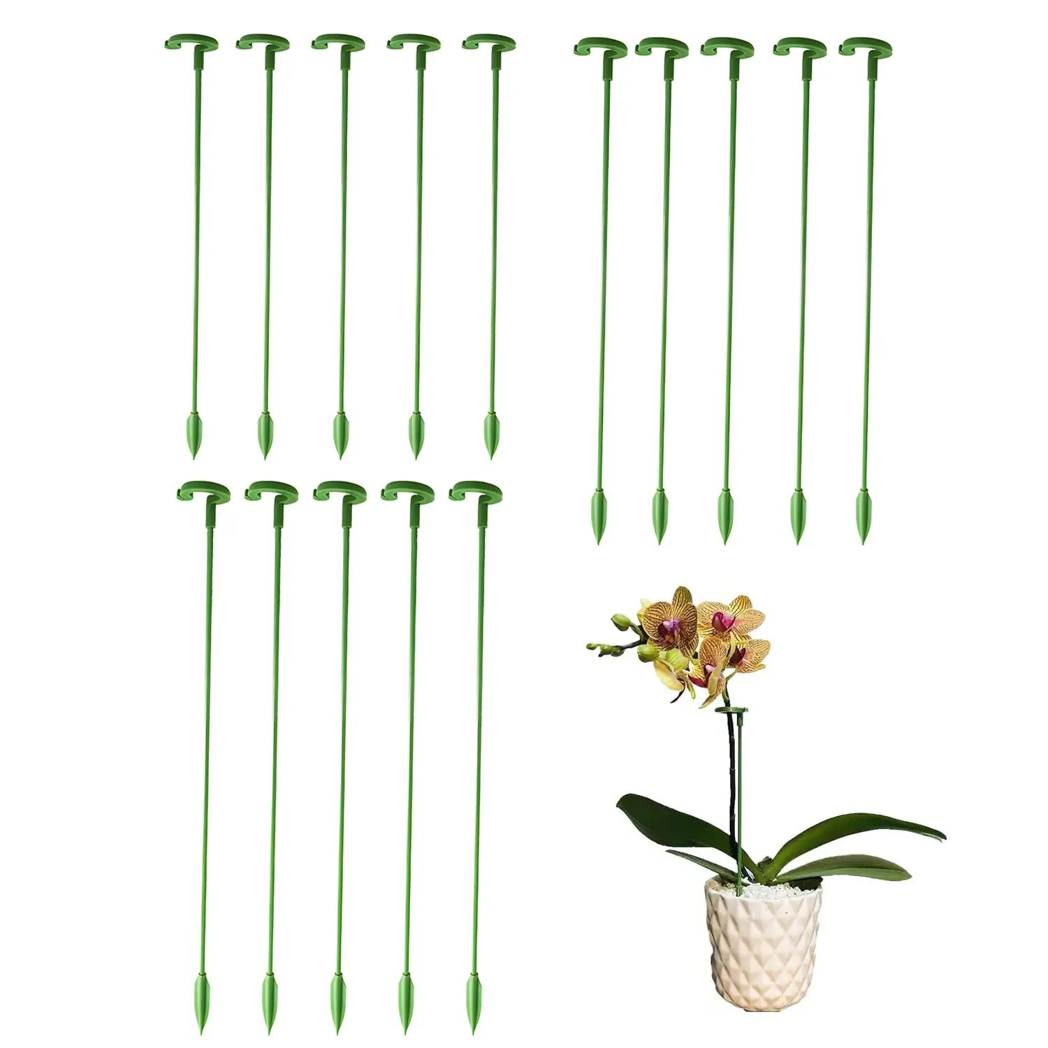 Plant Support Stakes Garden Single Stem Flower Support Stake Amaryllis Plant Cage Plastic Flower Stand