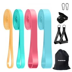 Premium Multifunctional Resistance Bands Set with Accessories (10Pcs)
