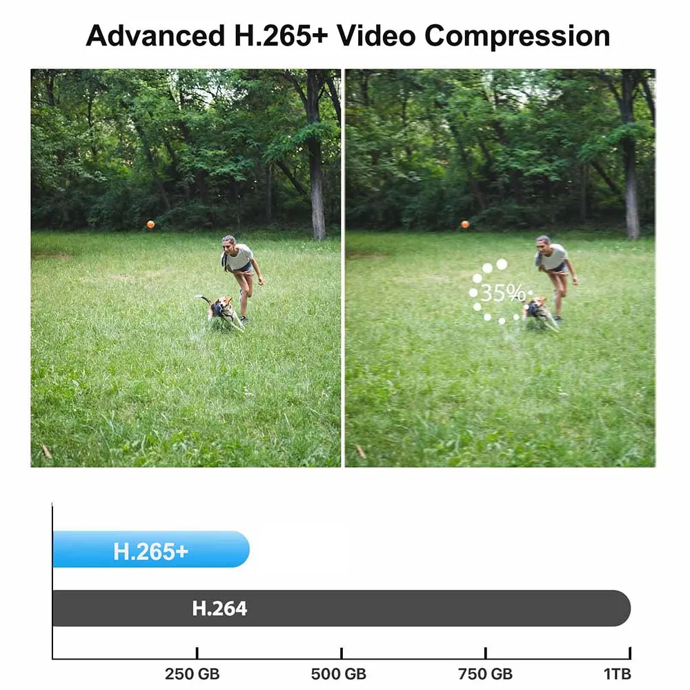 H.265+ 4CH 1080P 720P 보안 카메라 시스템(2개 2MP 감시 카메라 포함) 가정용 야외 실내 야간 투시경 모션 감지