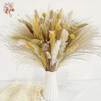 100Pcs Premium Dried Flowers Pampas Grass
