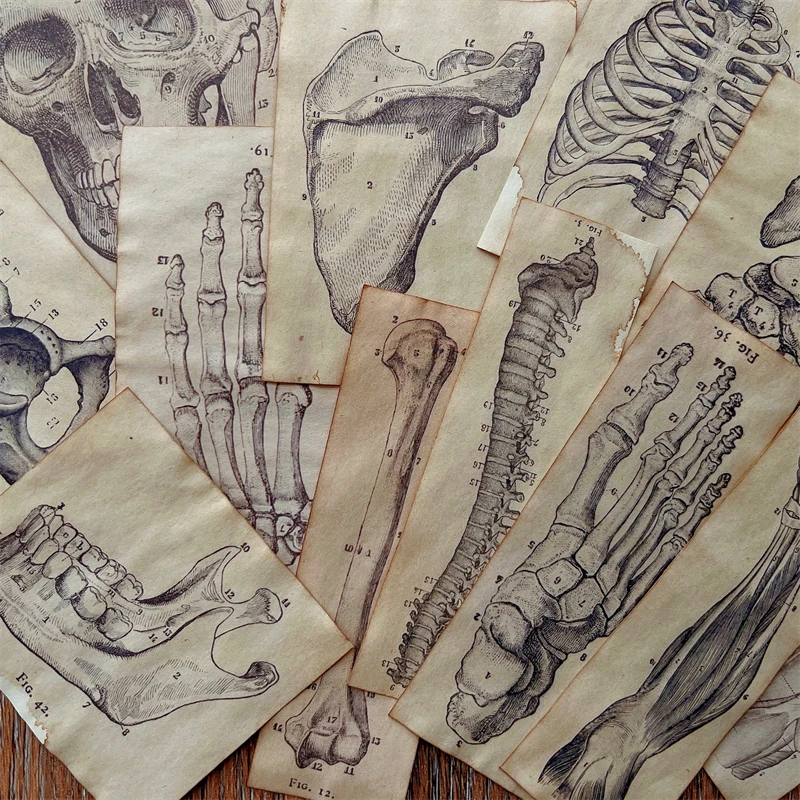 17 Piece Handmade Coffee Dyed Paper Skeleton Human Anatomy Material Paper Pack Junk Journal Ephemera Album Scrapbooking Material