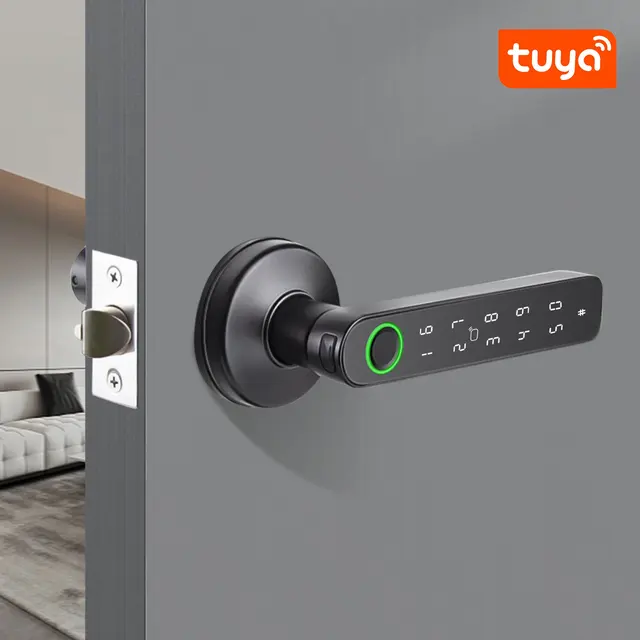 Keyless Spherical Tuya Intelligent Fingerprint Password APP Card Bedroom Door Lock Support Remote Control Unlock 5