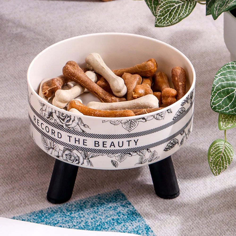 Stainless Steel Elevated Pet Bowls 2