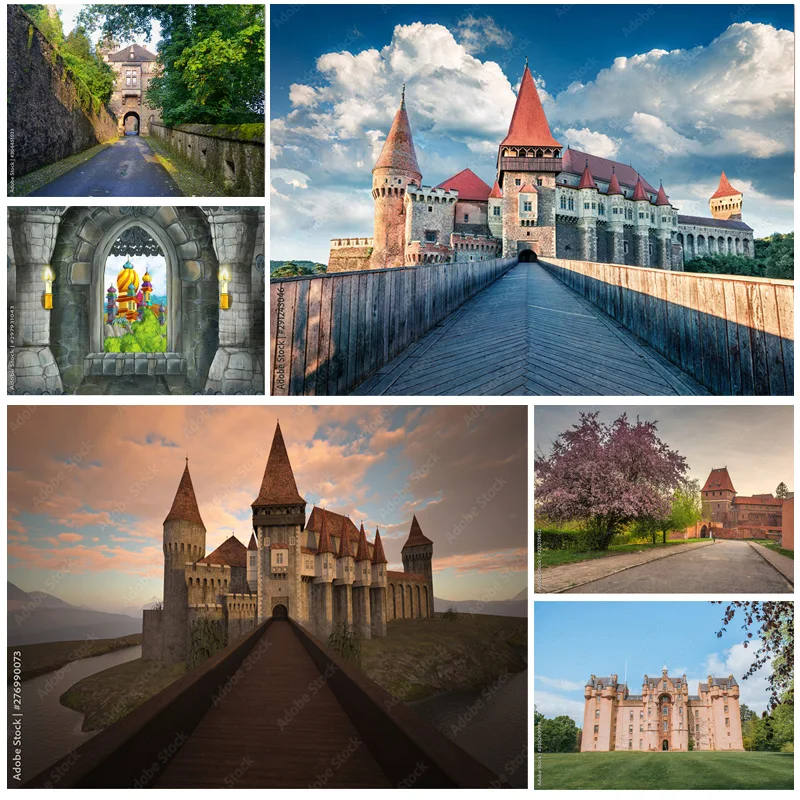 

SHENGYONGBAO Natural Scenery Photography Background Landscape Travel Castle Photo Backdrops Studio Props 211226 CB-04