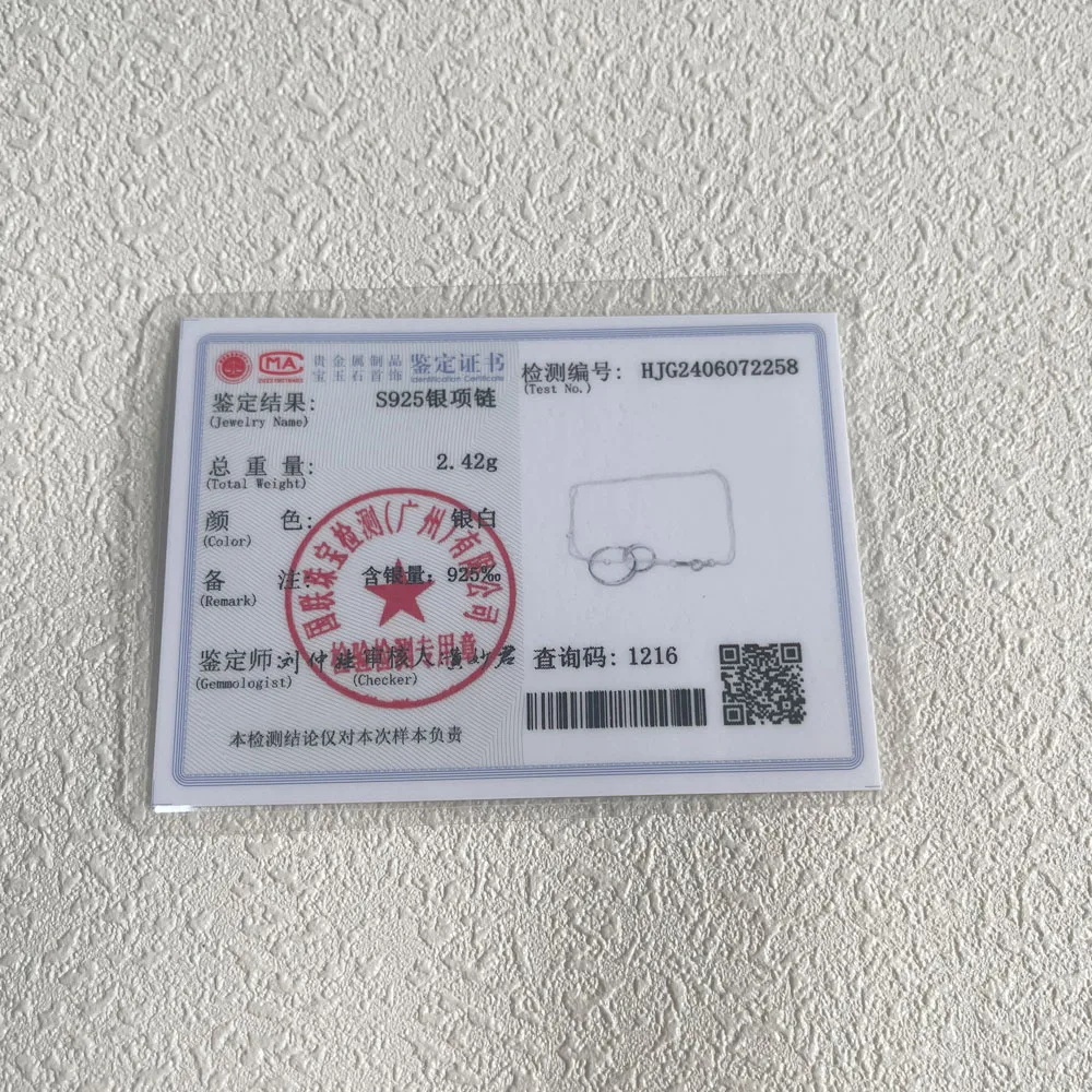 Double Circle Interlock Clavicle Short Necklace Silver Color Necklace For Women - Image 6