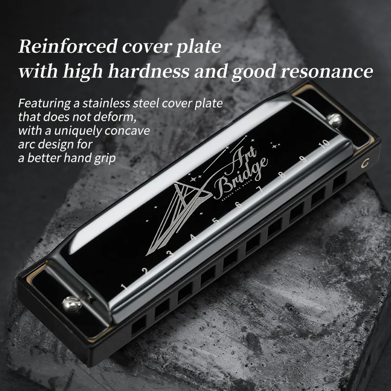 Blues Harmonica Mouth Organ 10 Hole C Key Diatonic Harmonica Case for Professional Beginner Students Adult diatonic harmonica