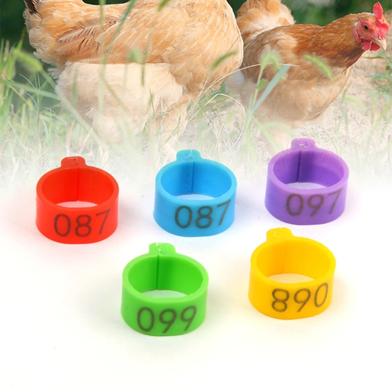 Plastic Bird Leg Bands Rings Chickens 16mm Plastic Ankle Ring Chicken Leg Rings Farm