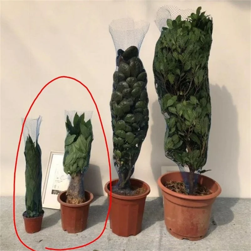 Рисунок 2 - Защитная сетка для цветочных горшков 10 м 30 м 50 м