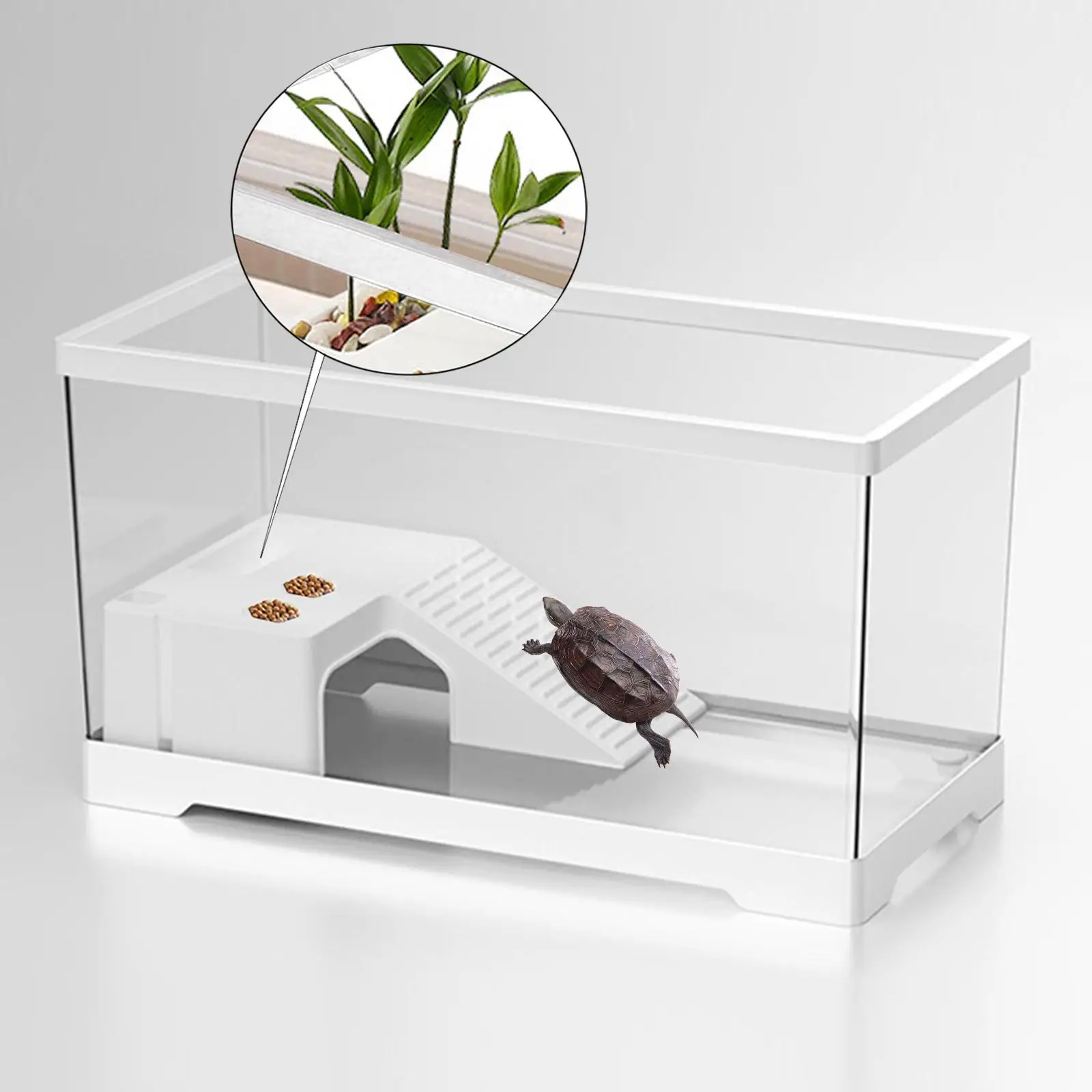 Large-White