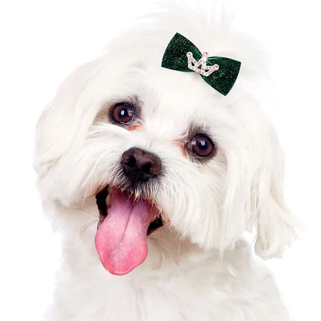 10PCS Fashion Pet Dog Hairpin Crystal Crown Bow Clips for Small Dogs Luxury Puppy Cat Hair Clips Dog Grooming Accessories 2