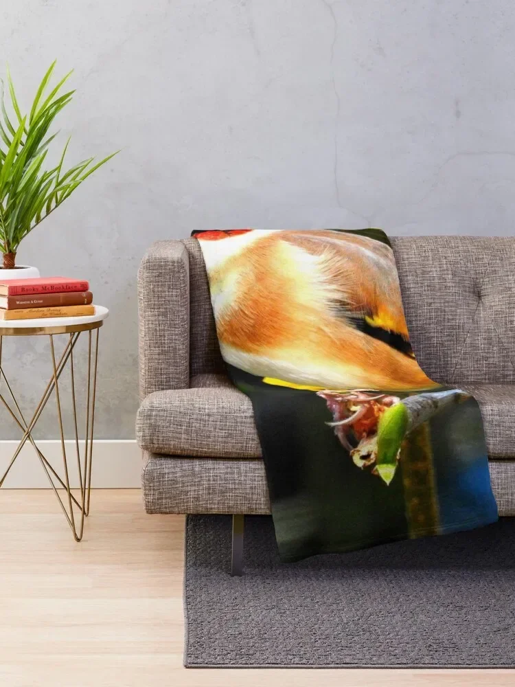 ��ŷ ���ο� ���, ���� ���� ���, ����� �̺� ���