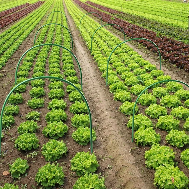 6Db 2,4/3.2/4 Mm-Es Üvegházhatású Karika Alagút Hajlítható Kerti Tartó Tét Rozsdamentes Növekedés Szövet - Image 4