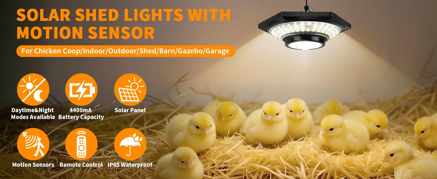 Solar Shed Light
