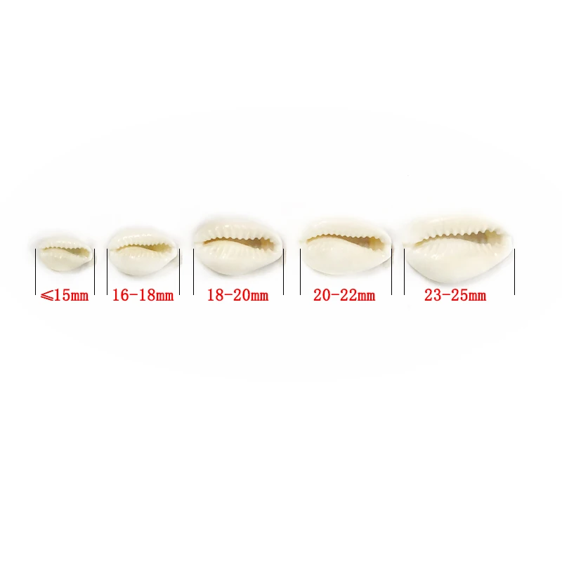 Shell Conch Beads Charm Oval Holes Loose Spacer Beads for DIY Jewelry Making Home Decoration Crafts natural shell ornaments