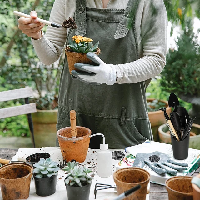 Bonsai Zamatos Szerszámok Beállítva Otthoni Beltéri Kerti Mini Szerszámkészlet Kaktusz Gyógynövényvirágok Kertészeti Gondozás Ültetési Kézi Szőnyeggel - Image 6
