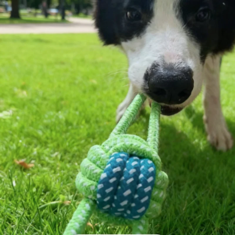 Interactive Cotton Rope Chew Ball For Dogs And Puppy Teething_voghion.com
