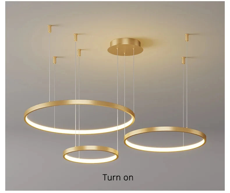 Black Rings Pendant Light 14